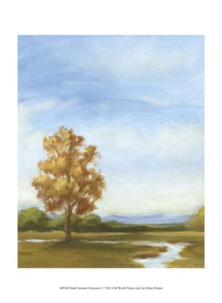 Small Summer Horizons V