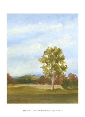 Small Summer Horizons VI