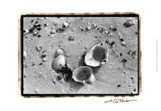 Sand Treasures IV