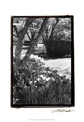 Springtime Garden IV