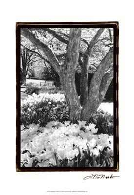 Springtime Garden VI