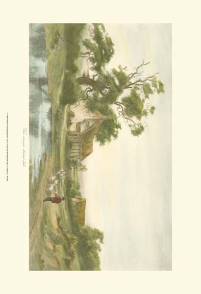 When Evening Shadows Fall