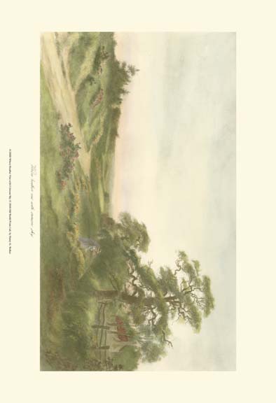 Where Heather Vies with Crimson Sky