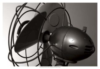 Vintage Fan Study II