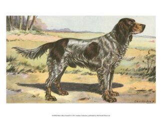 Man's Best Friend II