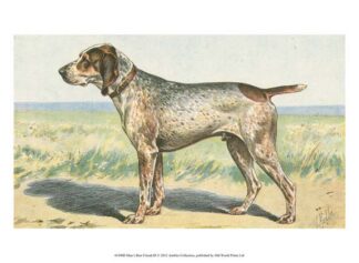 Man's Best Friend III