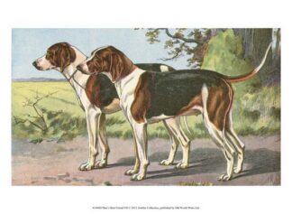 Man's Best Friend VII