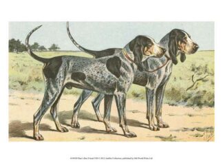 Man's Best Friend VIII