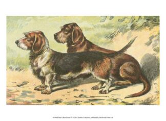 Man's Best Friend IX