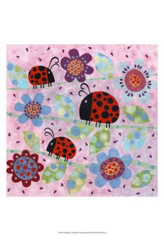 Lady Bugs