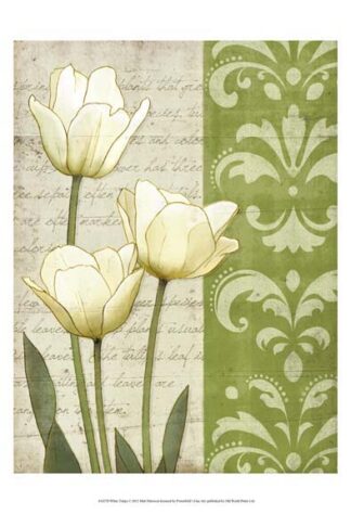 White Tulips