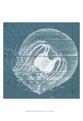 Coastal Menagerie IX