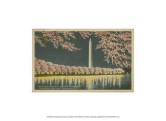 Washington Monument at Night