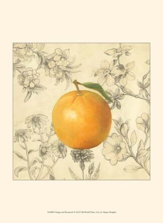 Orange and Botanicals