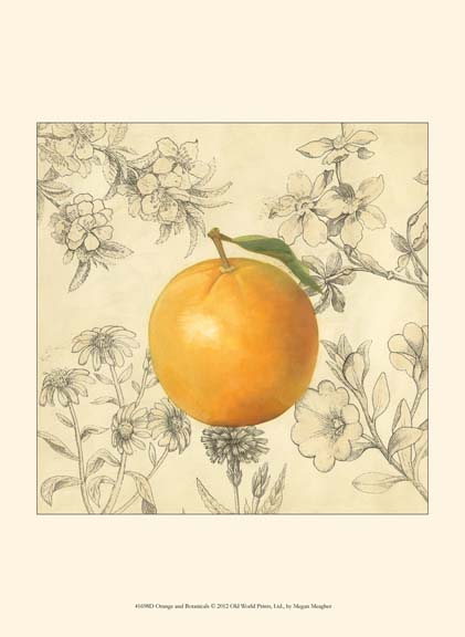 Orange and Botanicals