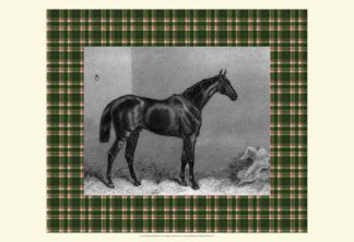 Equestrian Plaid I