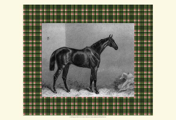 Equestrian Plaid I