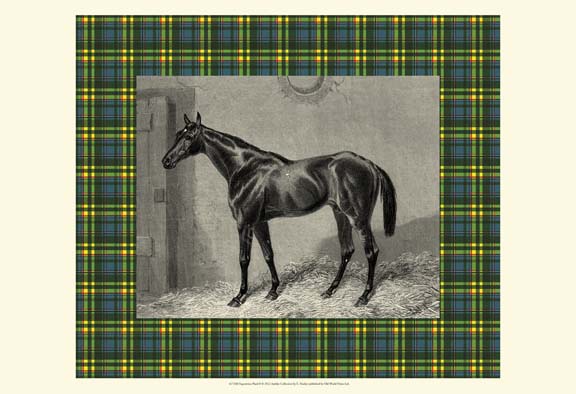 Equestrian Plaid II