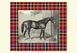Equestrian Plaid III