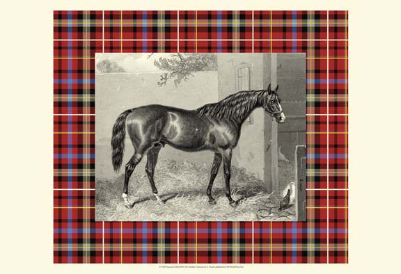 Equestrian Plaid III