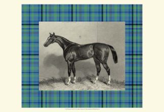 Equestrian Plaid IV