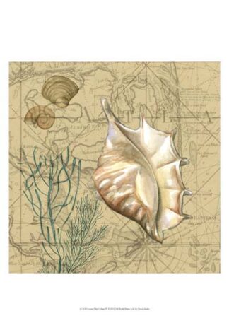 Coastal Map Collage IV