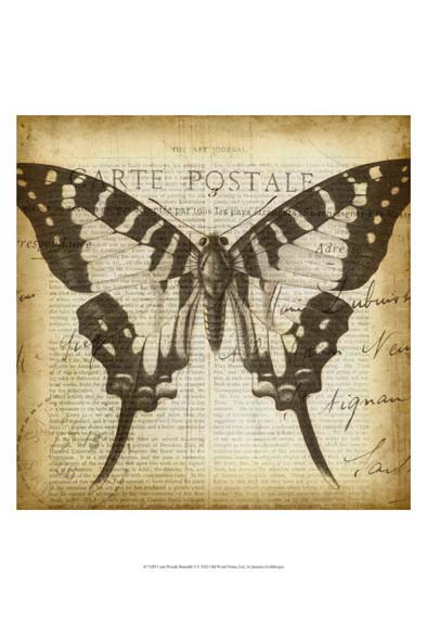 Carte Postale Butterfly I
