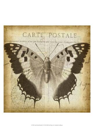 Carte Postale Butterfly II
