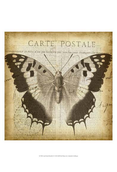Carte Postale Butterfly II