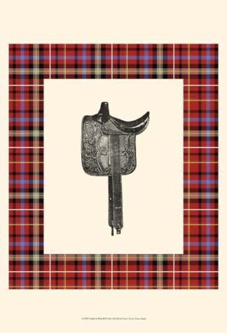 Saddle and Plaid III