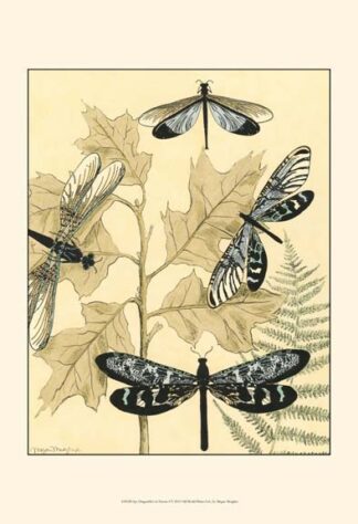 Spa Dragonflies in Nature I