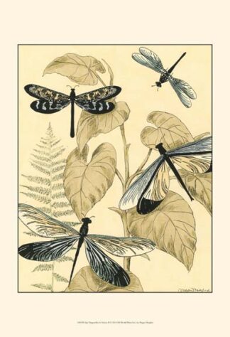 Spa Dragonflies in Nature II