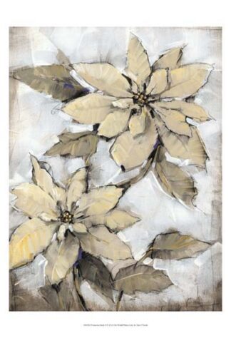 Poinsettia Study I