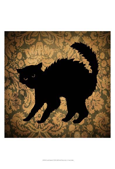 Cat & Damask