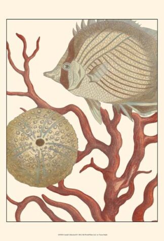 Coastal Collection II