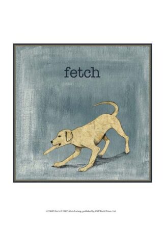 Fetch