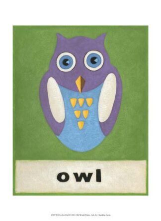 O is for Owl