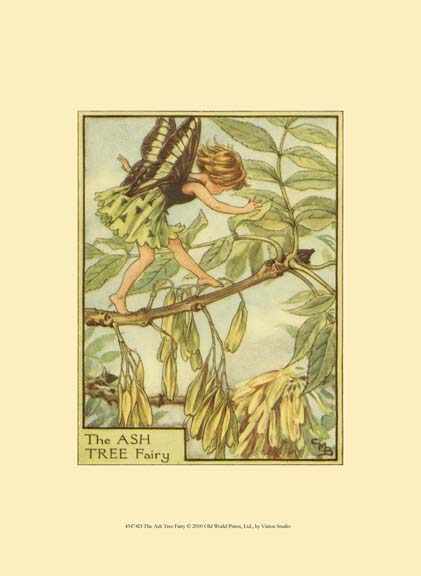 The Ash Tree Fairy
