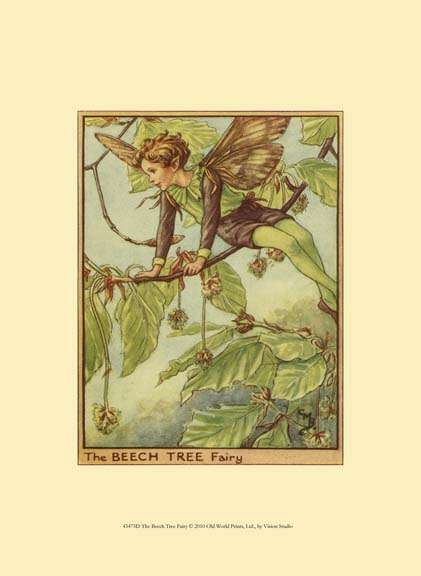 The Beech Tree Fairy