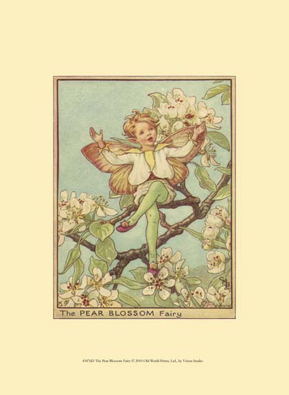 The Pear Blossom Fairy