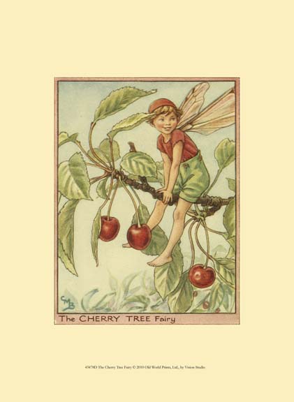 The Cherry Tree Fairy