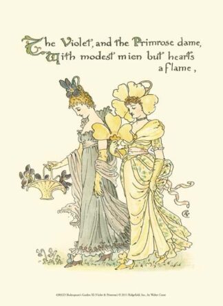Shakespeare's Garden XI (Violet & Primrose)