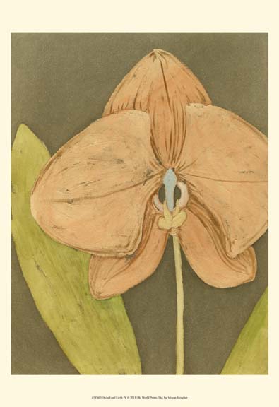 Orchid & Earth IV