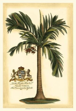 British Colonial Palm I