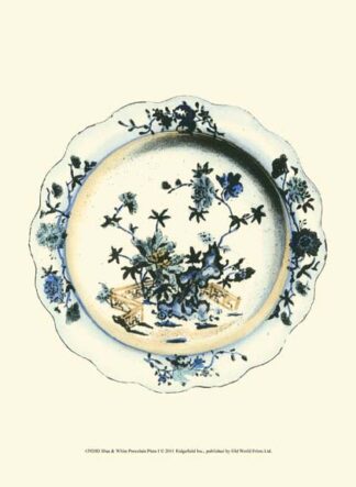 Blue & White Porcelain Plate I