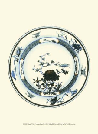 Blue & White Porcelain Plate III