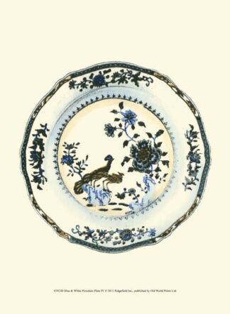 Blue & White Porcelain Plate IV