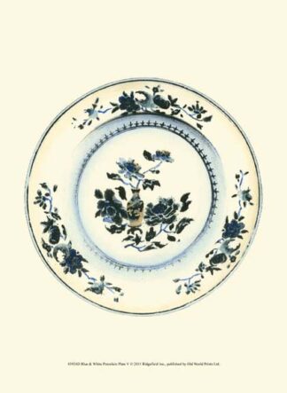 Blue & White Porcelain Plate V