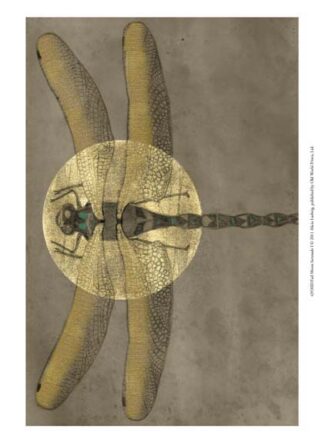 Full Moon Serenade I