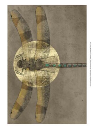 Full Moon Serenade II